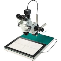 �z�[�U���@�g�n�y�`�m�@�O����̌������i�o�b�p�j�@�k�j�h�s�P�Q�S�S�@�P�r