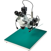 �z�[�U���@�g�n�y�`�m�@�O����̌������i�o�b�p�j�@�k�j�h�s�P�Q�R�Q�@�P�r