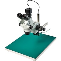 �z�[�U���@�g�n�y�`�m�@�O����̌������i�o�b�p�j�@�k�j�h�s�P�Q�R�O�@�P�r