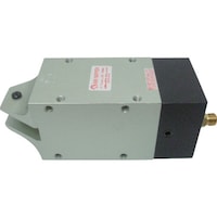 ���{�S�H�@�i�C���@�p�^�G�A�[�j�b�p�@�{�́@�l�r�T�O�e�@�P��