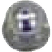 �}�K�@�}�K�@���~�i�����X�v���[�K���@�o�r�R�j�^�p���i�@���Q�@�G�A�L���b�v�@�Q�X�Q�U�P�@�P��