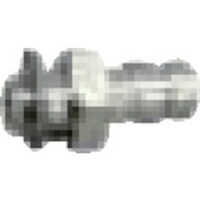 �}�K�@�}�K�@���~�i�����X�v���[�K���@�g�l�X�^�p���i�@���T�@�G�A�p�z�[�X�W���C���g�@�Q�X�S�W�T�@�P��