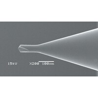 �I�G�X�W�@�n�r�f�@�ɏ��a�t�u�l�h�����i���[�f�B���O�h�����j�@�W�T�W�X�Q�T�T�@�t�u�l�k�c�r�O�D�O�T�w�P�Q�O�w�R�D�P�V�T�@�P�{