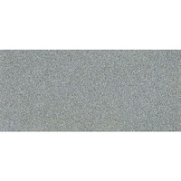 ツボサン ツボサン ダイヤモンドシート #300 50mm×100mm TDPA300 1枚