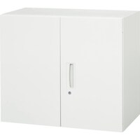 ダイシン DAISHIN 壁面収納庫 両開き型 上下兼用W800 ホワイト V84007H 1台