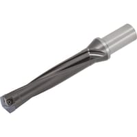 �^���K���C�@�^���K���C�@�h�����E�t�H�[�X�E�}�C�X�^�[�@�w�b�h�������h�����@�s�h�r�i�k�^�c���T�j�@�s�h�r�R�P�O�e�R�Q�T�@�P��