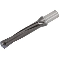 �^���K���C�@�^���K���C�@�h�����E�t�H�[�X�E�}�C�X�^�[�@�w�b�h�������h�����@�s�h�r�i�k�^�c���T�j�@�s�h�r�R�Q�O�e�S�O�T�@�P��