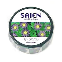 �J�~�C�\�Y���@�J�~�C�\�@�s�q�O�Q�R�Q�@�r�`�h�d�m�@�~���R���X��