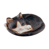 �J�N�_�C�@�ʂ炳�ɂႢ�Łi�n�`�j