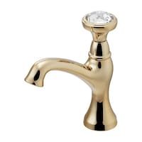 �J�N�_�C�@�������A���e�B�[�N�S�[���h