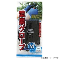 キンボシ 菜果グローブ(S)