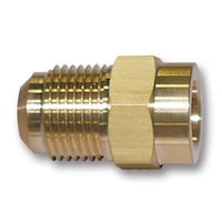 �t���[�o���@���[�t�n�[�t���j�I���{�́@�e�l�R�R�{�́@�R�^�W���R�^�W