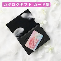 �����[���@�y�@�o�Y�j���@�̌���Łz�X�^�C���b�V���ȃu���b�N�p�b�P�[�W����@�J�^���O�M�t�g�@�G���W�F���M�t�J�@�W�O�O�O�|�C���g