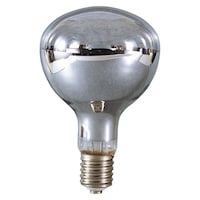 �����H�Ɓ@���t��