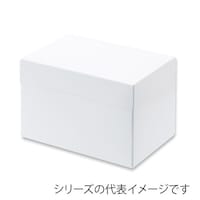 ���䎆�H�@�r�n�{�b�N�X�P�Q�T�v�g�@�P�W�~�Q�S�~�S