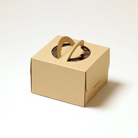 サガシキ ケーキ箱 エコクラフトデコ箱5号 H130 100