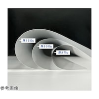 �t�W�e�b�N�X�@���~�l�[�g�t�B�����P�O�O�ʁ@�`�S�T�C�Y���ӃV�[���^�C�v�@�P�O�O�����@�P�P�[�X