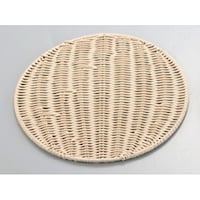 アズワン 樹脂製スノコ 丸型