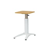 �I���o�[�@�̌��e�[�u���@�r�s�i�c�O�O�S�@�P��