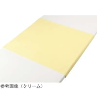 ����@�ȍ��p�C���h���V�[�c