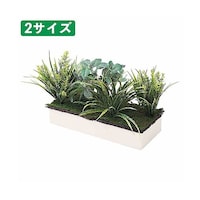 アズワン 【オプション】プランターボックス専用植栽