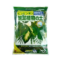 �Ԃ�����@�ϗt�A���̓y�@�P�Q�k�~�S�ܓ��@�O�X�V�T�O�@�P��