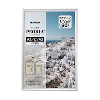 ハクバ アルミ額 ペオリアプラス A3ノビ SV FAPEPSVA3N 1枚