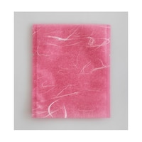 �����H�Ɓ@���ٌ����܁@�J�}�X�@�f�t�i�_���^�C�v�j�m���D�P�@�s���N�@�P�P�[�X�i�P�O�O�~�S�W�Z�b�g���j�@�O�O�V�T�R�W�Q�R�@�P�P�[�X