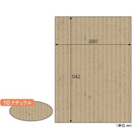 �q�T�S�@���b�v���{�[�h�^�i�`�������@�P�p�b�N�i�R�����j�@�q�a�P�U�@�P�p�b�N