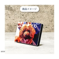 ボンマックス すまでこ スタンド126B 1箱(50個入) 1箱