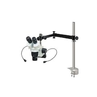 �z�[�U���@���̌������@�X�|�b�g�Ɩ��t�@�t���L�V�u���A�[���@�k�j�h�s�P�Q�V�Q�@�P��