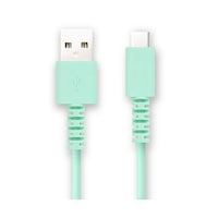 FSC TYPECケーブル 1m ブルー FSUAC100BL 1個