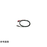 �e�C�V���@�����e�X�g���[�h�@�R�l�N�^�[�`��F�a�m�b�E�o�i�����j�@�b�b�`�P�O�R�O�Q�O�@�P��