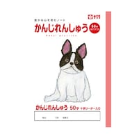 �T�N���N���p�X�@���񂶁@�T�O���q�@�m�o�T�O�@�P��