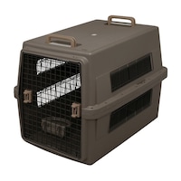 �A�C���X�I�[���}�@�G�A�g���x���L�����[�@�u���E���@�`�s�b�W�V�O�@�P��