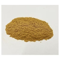 �A�Y�����@�|���C�~�h�p�E�_�[�i���T�C�N���j�@�P�O�O���@�P�p�b�N