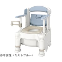 �A���������@�|�[�^�u���g�C���e�w�R�O�@�W���֍��@�~�X�g�u���[�@�T�R�Q�X�T�V�@�P��