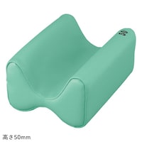 �A�Y�����@�̌��܂���@�s�l�a�o�o�f�@�P��