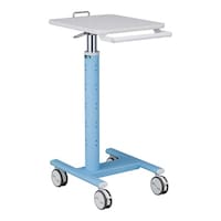 �A�Y�����@�i�[�X�J�[�g�@�s�k�b�a�@�P��