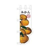 oEnEov_Nc@tb~ĵڂQTXVO݂~R