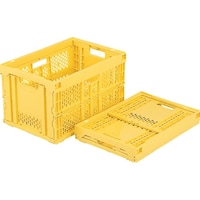 �򕌃v���X�`�b�N�H�Ɓ@����������