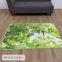 �C�P�q�R�@�~���@�h�����O�@�t�H���X�g�J�o�[�@�@�T�O�~�P�O�T�����@�P���y���[�J�[�����^����������͎ԏ�n���z