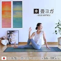 �C�P�q�R�@���K�}�b�g�@������������