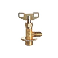 デンゲン CPV30 R12 サービスカンバルブ CPV30 1個