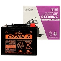 �f�r�@�x�t�`�r�`�@�f�x�y�Q�O�g�k�@�V�[���h�^�@�o�C�N�p�o�b�e���[�@�t����[�d�ς�