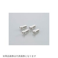 キタコ 090004600006 タッピングビス(ステンレス) 4X20/4PC 090004600006 1個 ※2個以上から注文可能(販売価格は1個単位の価格)
