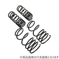 RACING GEAR SD021A ダウンスプリング ローフォルム・レボリューション ミラアヴィ L260S SD021A 1個