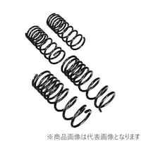 RACING GEAR SS010A ダウンスプリング ローフォルム・レボリューション エブリィ DA62V.W SS010A 1個