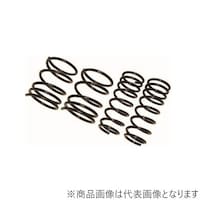 RACING GEAR ST034A ダウンスプリング ローフォルム・レボリューション ノア・ヴォクシー AZR60G ST034A 1個
