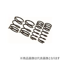 RACING GEAR ST081A ダウンスプリング ローフォルム・レボリューション アクア NHP10 ST081A 1個